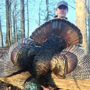 Meet your Posher, Sam